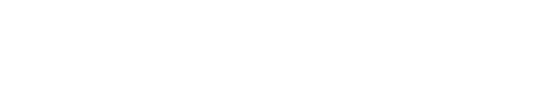 ww-white-pointer-min